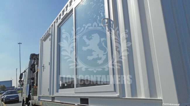 Amy-Ferguson-Lion-3-1024×570